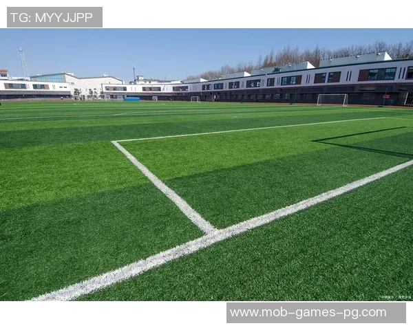 探索二手足球场的魅力与价值提升，让每一块草坪都焕发新生机